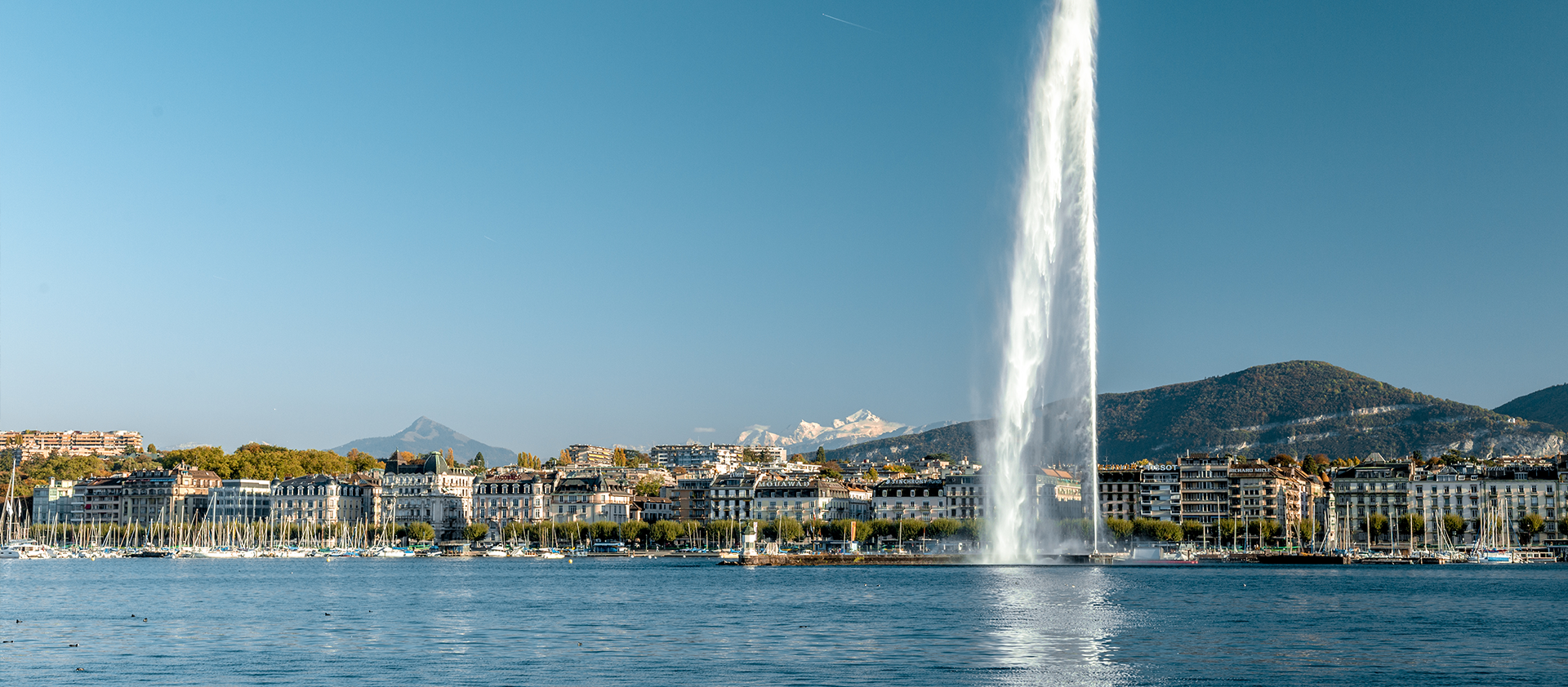geneva slider 1